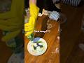 Would you eat this???? #shorts #shortsfeed #shortvideo