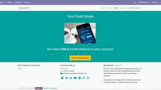 How To Manage Website Customer Credit Payment Odoo Apps Feature