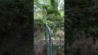IMG 0081