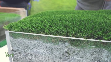 Vertedge Launch Video