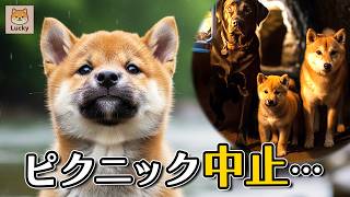  Crying In The Rain  But Secret Plan Changed Everything