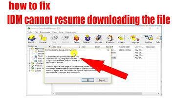 how to fix IDM cannot resume downloading the file