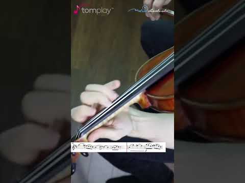 Rieding Violinconcerto B-Minor