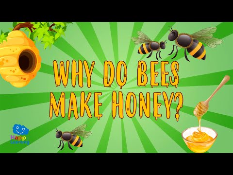 Video: Hvorfor Trenger Bier Honning?