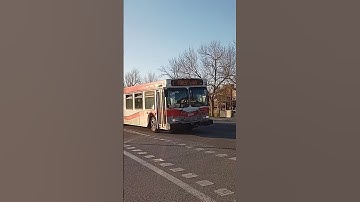 Calgary Transit #8036 New Flyer D40LF as Route 1 to Forest Lawn