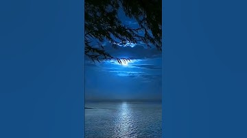 سوره يس اني امنت بربكم فاسمعون القارئ محمد هشام