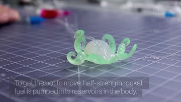 Meet the World’s First Completely Soft Robot