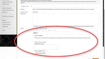 Evaluating a Rough Draft in the Self and Peer Review System