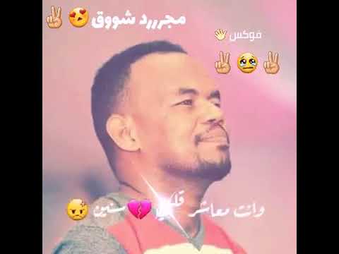 منتصر هلاليه سؤال عابر
