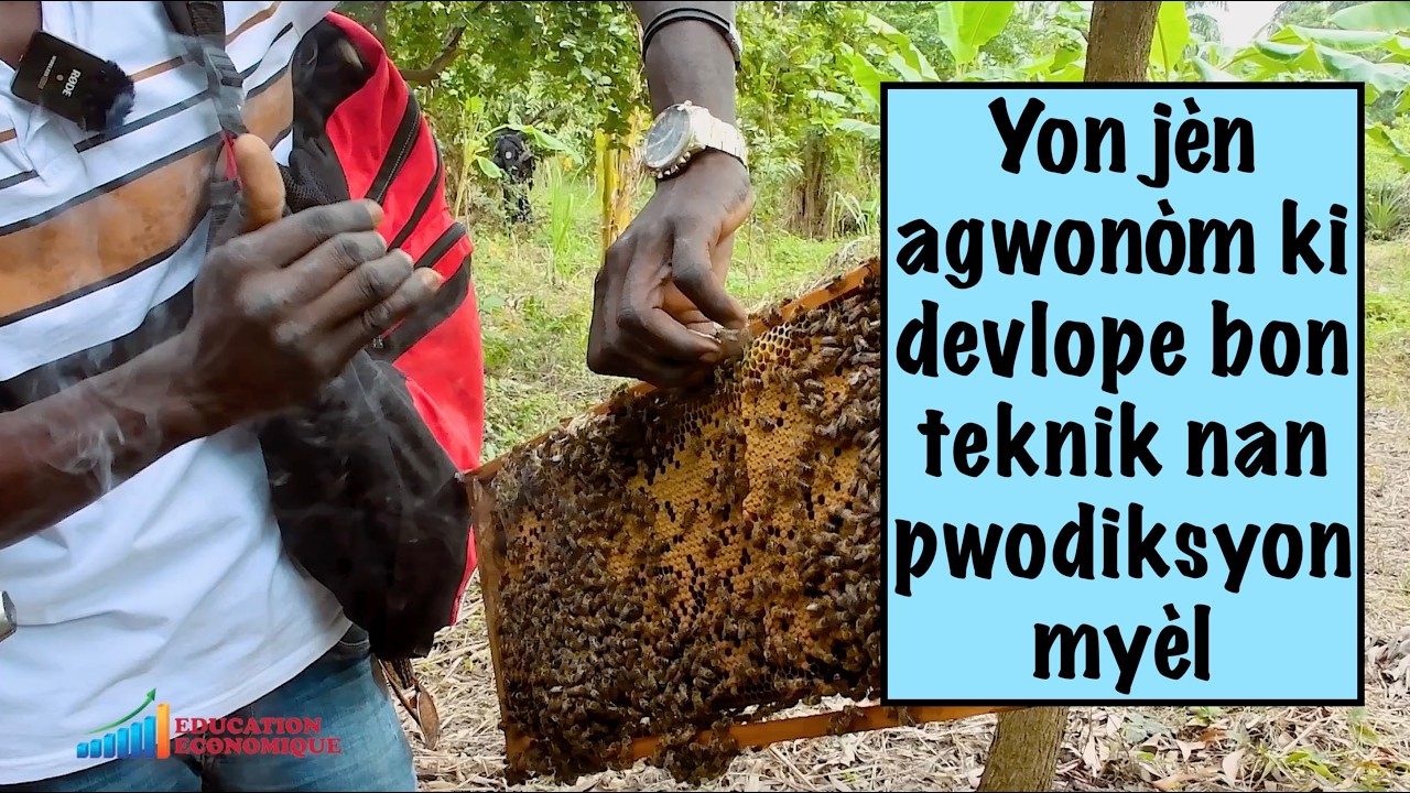 Yon jèn agwonòm ki devlope bon teknik nan pwodiksyon myèl