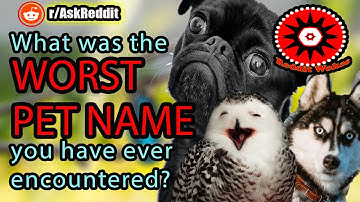 What was the WORST PET NAME you have ever encountered? (r/AskReddit | Reddit Stories)