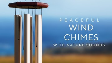 Deep Wind Chimes, Cheerful Birdsong & Views to the Horizon