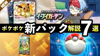 ポケモン　ヒグチユウコ　コラボ EV EVS ニンフィア　エーフィ　プレート　皿 ヒグチユウコが描くブイズ（だけどイーブイだけゲットできず（泣