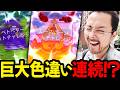 色違い！1匹！2匹！？3匹？？！！！巨大エースバーンの高個体も連続で勢いが止まらないぃいい！！【ポケモンGO】