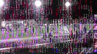 Westy Halftime Show 2011