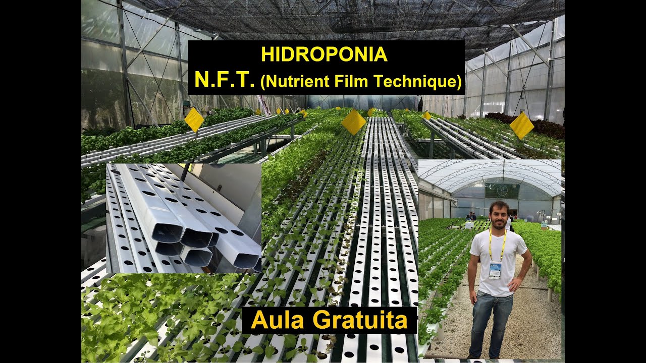 Hidroponia - NFT ( Nutrient Film Technique ) - YouTube
