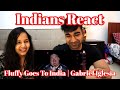 Fluffy Goes To India Gabriel Iglesias Reaction