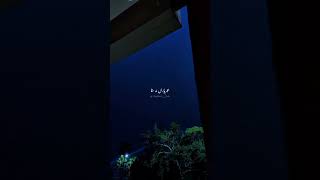 Beywajaah - Nabeel Shaukat Ali #aestheticurdu #bewajah #nabeelshoukatali #youtubeshorts #yt