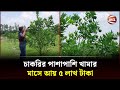          joypurhat agro farm  channel 24