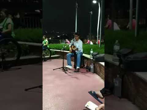抒情音樂工作室－《街頭藝人-高明德Andy》抒情演唱~木棉道