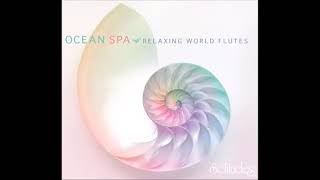 Ocean Spa: Relaxing World Flutes - Dan Gibson & Ron Allen