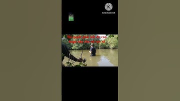 Phải quyết bắt cho dc con hugo 27kg. Đăng ký KÊNH ủng hộ mình nhé