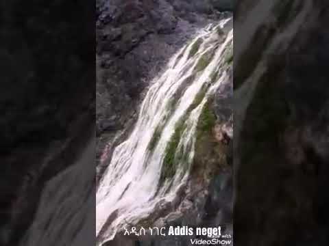 እኔ ምን ቼገረኝ ያወራ ቢያወራ አንዱ አገሬ የጁ አንዱ አገሬ ጉራ