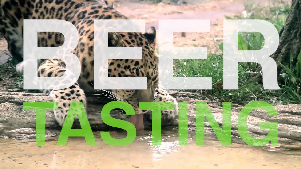 Zoo Brew 30 Beer TV Commercial Potawatomi Zoo YouTube