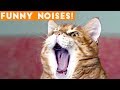 Funniest Animal Sounds Compilation of 2018 | Funny Pet Videos