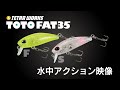 ブリブリ波動でブリブリ喰わせる！【TOTO FAT F/S】