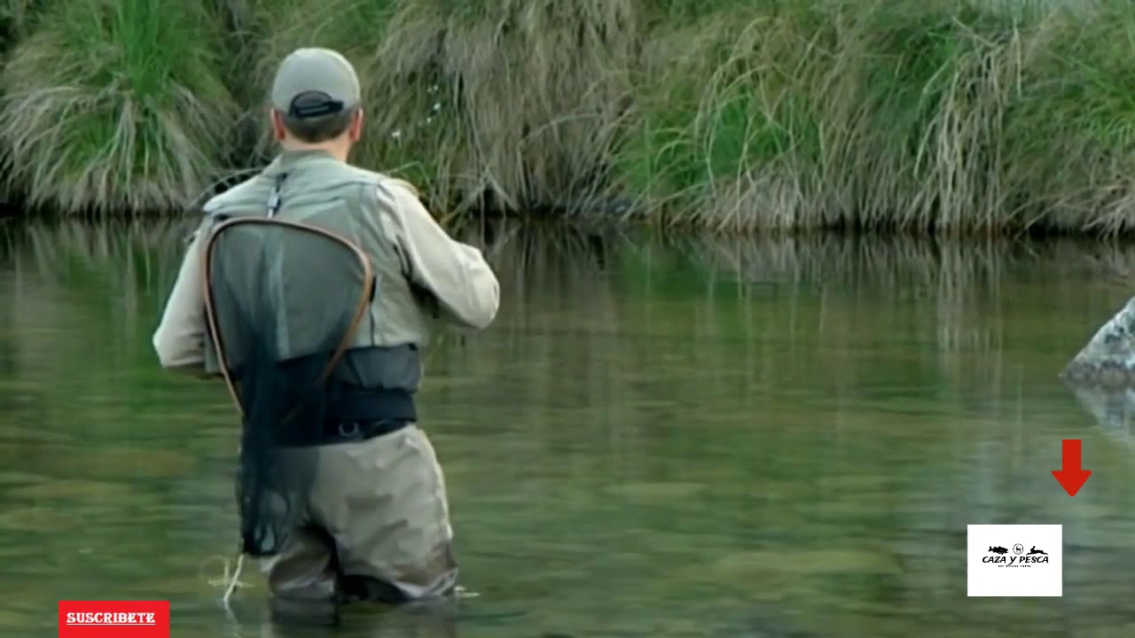 Un Par De Truchas Por La Jarosa Pesca A Mosca En Madrid Youtube Un Par De Truchas Por La Jarosa Pesca A Mosca En Madrid Youtube