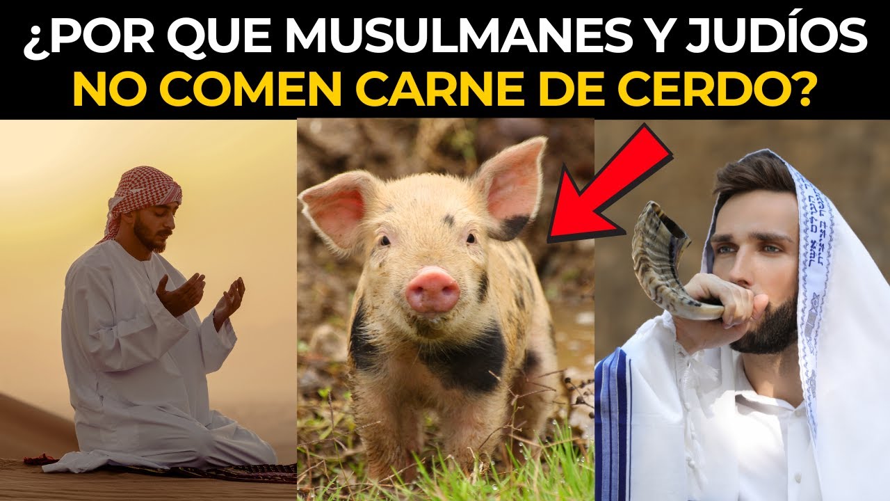 ¿POR QUE MUSULMANES Y JUDÍOS NO COMEN CARNE DE CERDO, PERO LOS