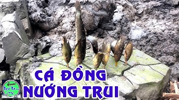 miền tây | CÁ LÓC NƯỚNG TRUI LAI RAI VÀI XỊ ĐẾ THẤM TÌNH NGƯỜI MIỀN TÂY | NGÃ NĂM TV