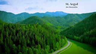 Drone view of St. Aegyd Am Neuwalde, Niederösterreich, Austria