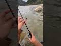 Caught a beautiful carp fish with easiest trick! part 2