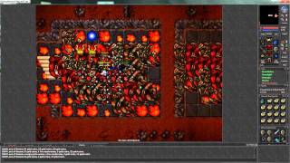 Celebrity Tibia Fox World , MALLES  - DASH Profile