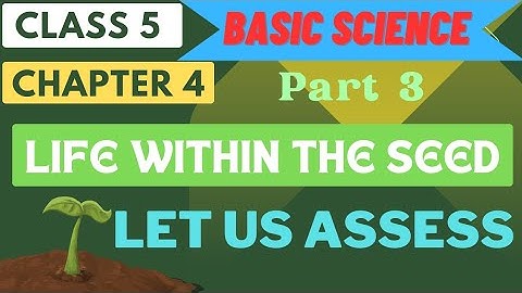 SCERT CLASS 5 BASIC SCIENCE/CHAPTER 4/LIFE WITHIN THE SEED _PART 3/LET US ASSESS