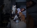 👀😺#newmusic #cat #studywithmeandmycat #cute #kitten #shortvideo #shortcat #ai #funny #cutecat #pets