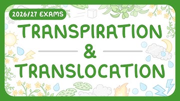 GCSE Biology - Transpiration & Translocation (2026/27 exams)