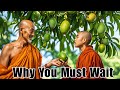 Why Rushing Ruins Everything | Monk’s Secret to Success #animation