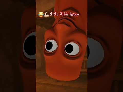 توم توم سحور جبتها شابة ولا لا اغاني ماله حل الشعب الصيني أغنية جديدة