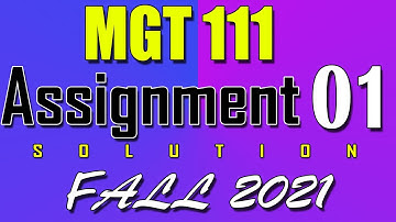 MGT111 Assignment 1 Solution Fall 2021 | MGT111 Assignment 1 Solution 2022
