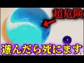 【超危険】このおもちゃは絶対に買ってはいけません…【キモカワなおもちゃ#3】
