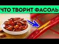 Из-за фасоли в организме запускаются процессы разрушения и восстановления! Варёная фасоль