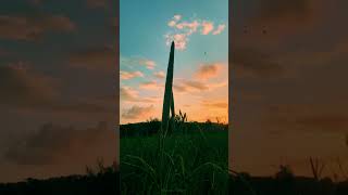 4k cinematic clip