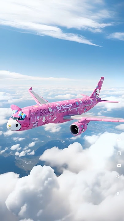 Pesawat my melody!! kakak pilot nya cantik 😁🤩#sanrio #mymelody #kuromi #airplane #pesawat