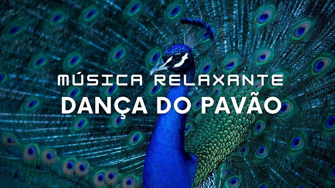Dança do Pavão: Melodias Encantadoras para Dormir e Relaxar