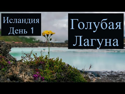 Голубая Лагуна. Исландия за 7 дней. День 1