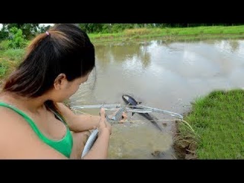 Wow!!Beautiful girl Fishing at battambang Khmer Net fishing How to catches Fish Part 131