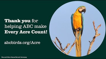 Thank you for making bird conservation possible!